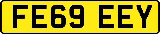 FE69EEY