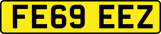 FE69EEZ