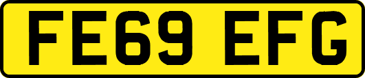 FE69EFG