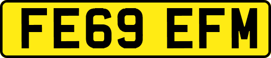 FE69EFM