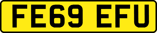 FE69EFU