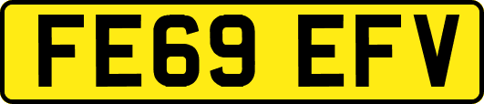 FE69EFV