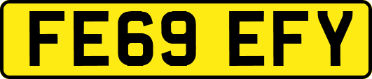 FE69EFY