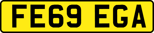 FE69EGA