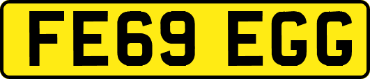 FE69EGG