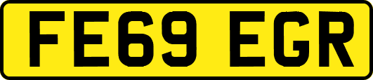 FE69EGR