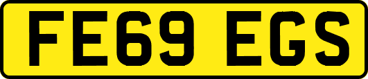 FE69EGS