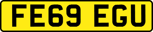 FE69EGU