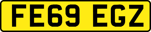 FE69EGZ