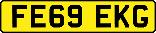 FE69EKG