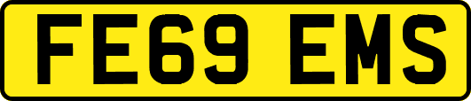 FE69EMS