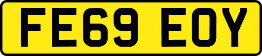 FE69EOY