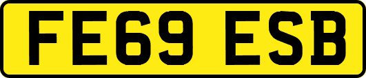 FE69ESB