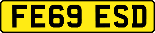 FE69ESD