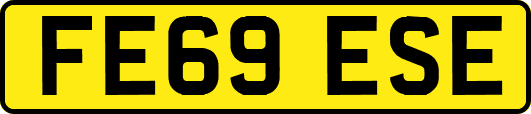 FE69ESE
