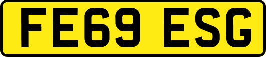 FE69ESG