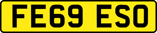 FE69ESO