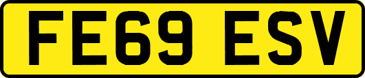 FE69ESV