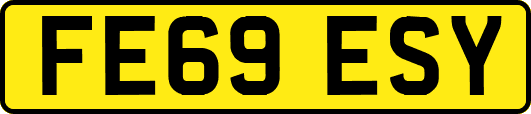 FE69ESY