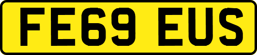 FE69EUS