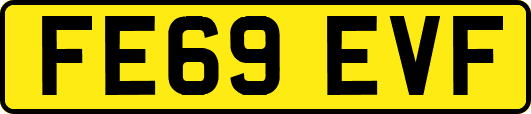 FE69EVF
