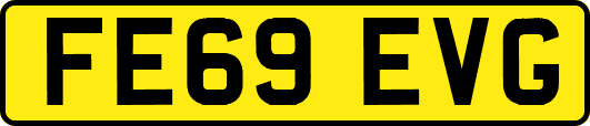 FE69EVG