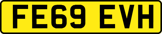 FE69EVH