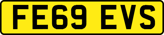 FE69EVS