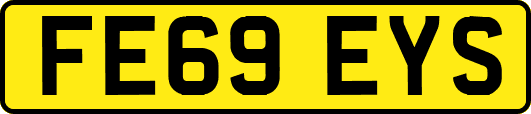 FE69EYS