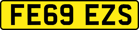 FE69EZS