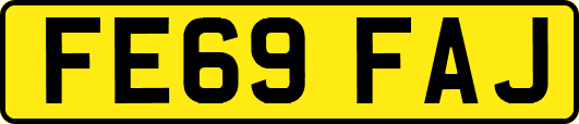 FE69FAJ