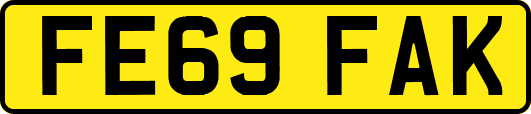 FE69FAK