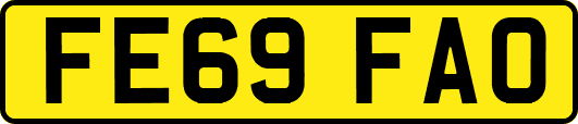 FE69FAO