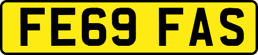 FE69FAS