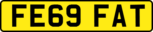 FE69FAT