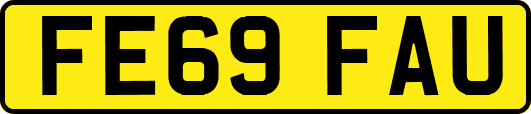 FE69FAU