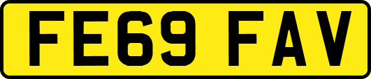 FE69FAV