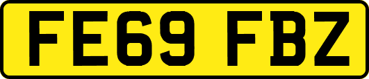 FE69FBZ