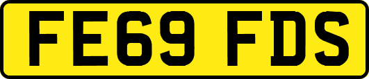 FE69FDS