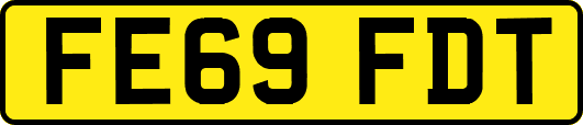FE69FDT