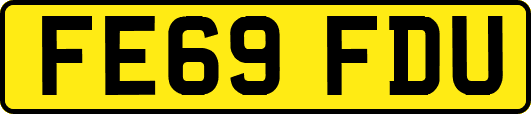 FE69FDU