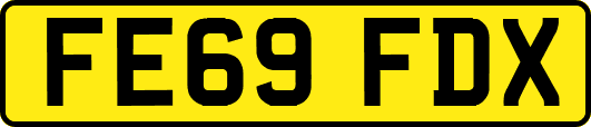 FE69FDX