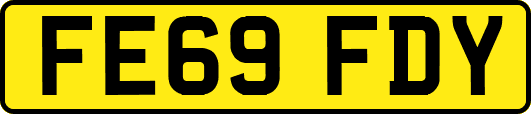 FE69FDY