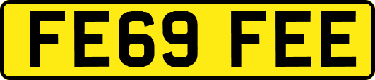 FE69FEE