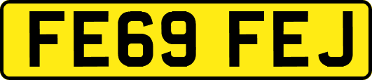FE69FEJ