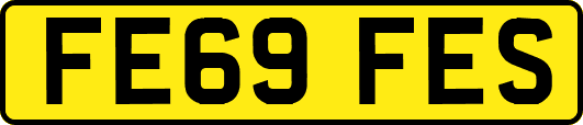 FE69FES