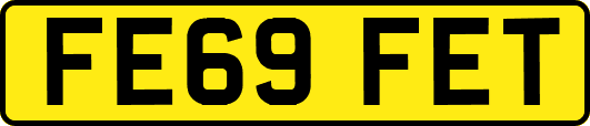 FE69FET