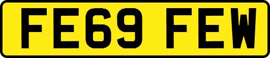 FE69FEW