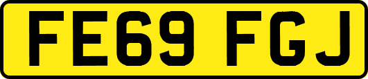 FE69FGJ