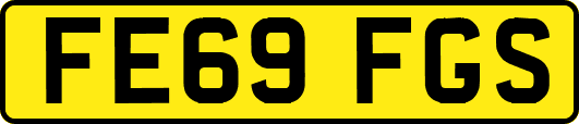 FE69FGS